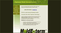 Desktop Screenshot of diamondmoldsolutions.com